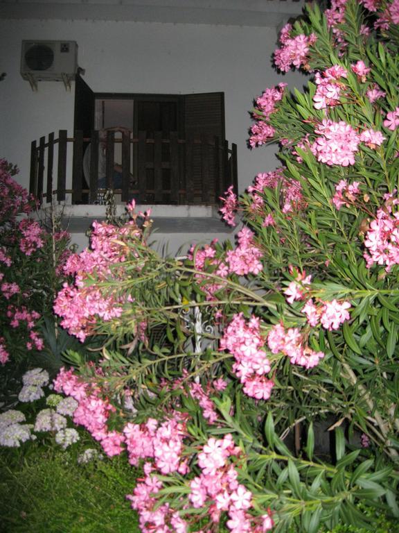Casa Morgado Hotel Almeida Exterior photo